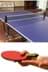 Picture of BUFFER® Masa Tenisi Spor ve Eğitim Seti Tüm Masalara Uyumlu Portatif File ve Ping Pong Ekipmanları