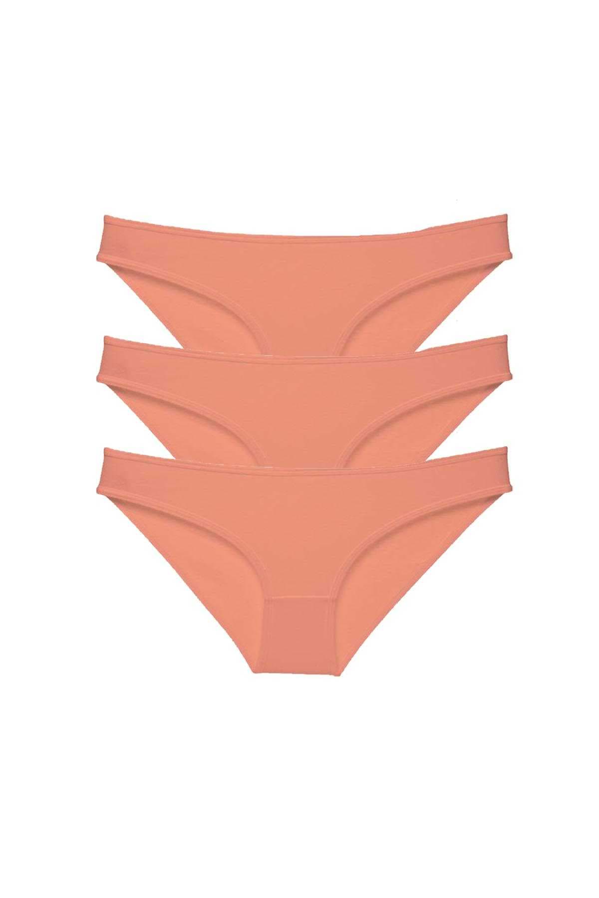 Picture of 3 adet Süper Eko Set Likralı Kadın Slip Külot Pudra