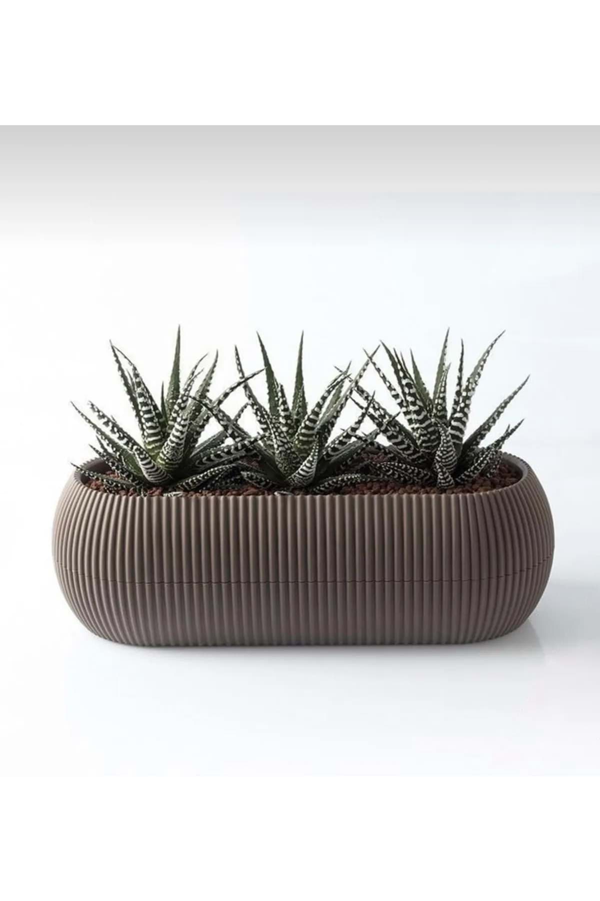 Mercan Uzun Saksı 27.7x11.8x9.8 Cm 1.3 Lt resmi