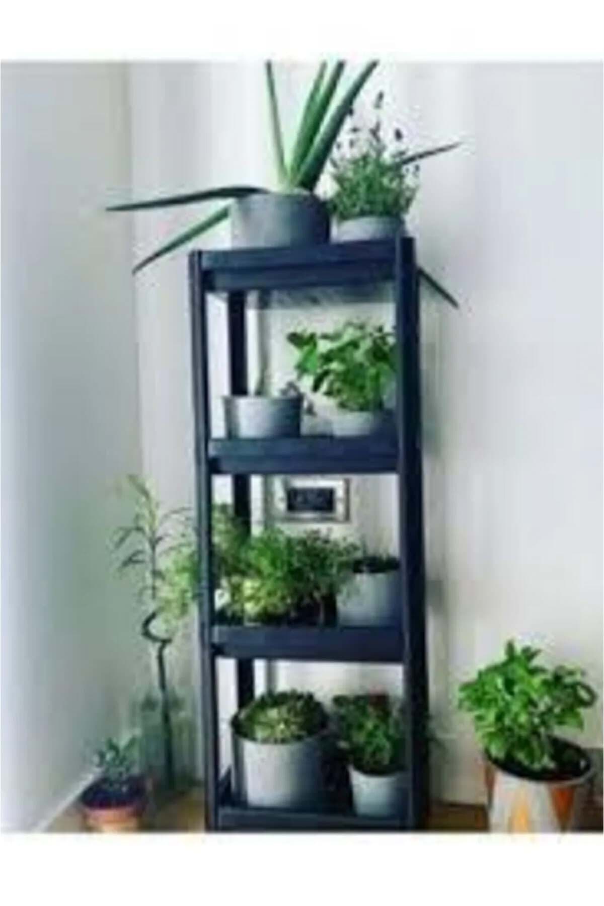 Shelf Unit Raf Ünitesi resmi