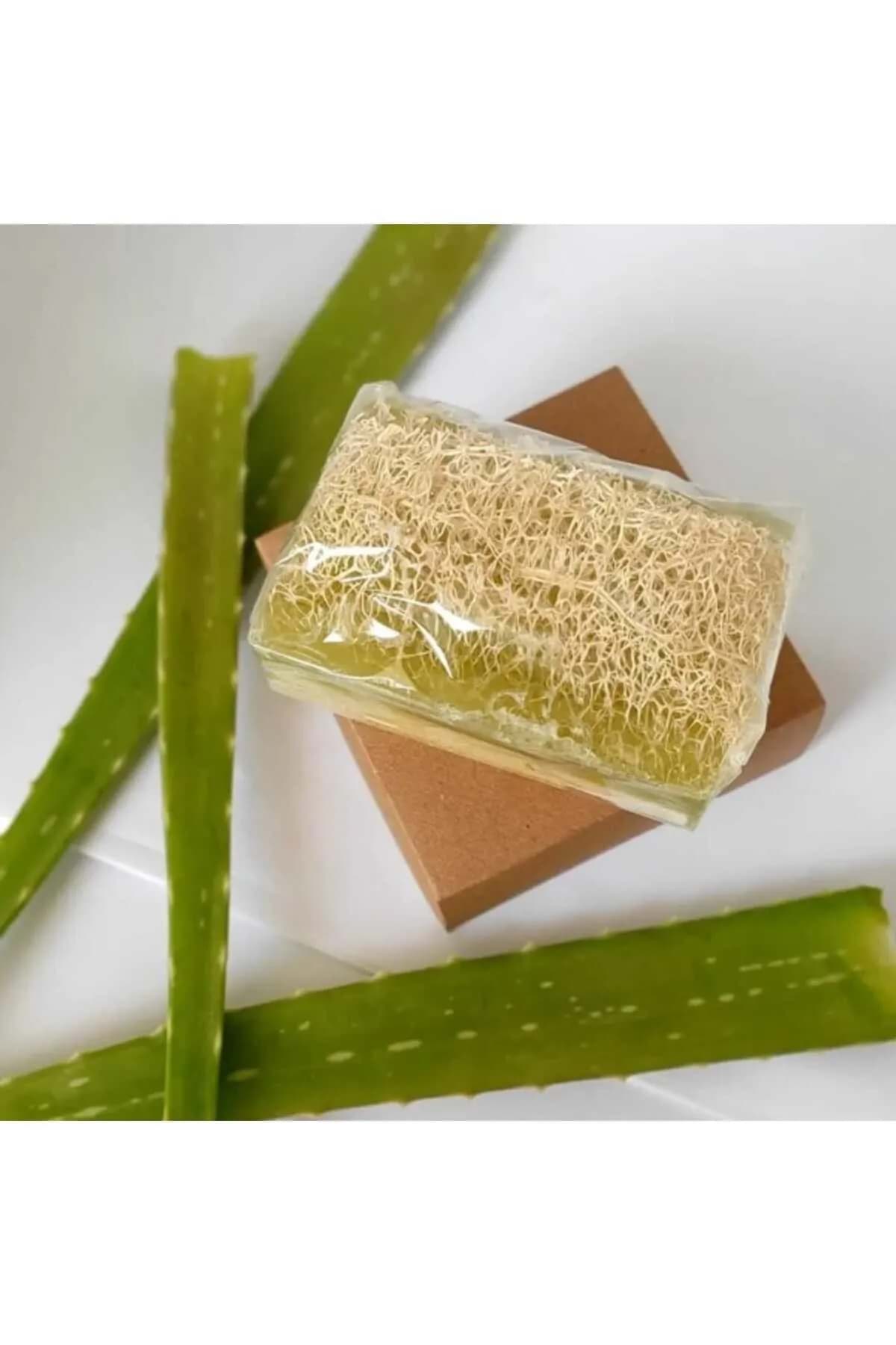 Doğal Kabak Lifli Alovera Sabunu resmi