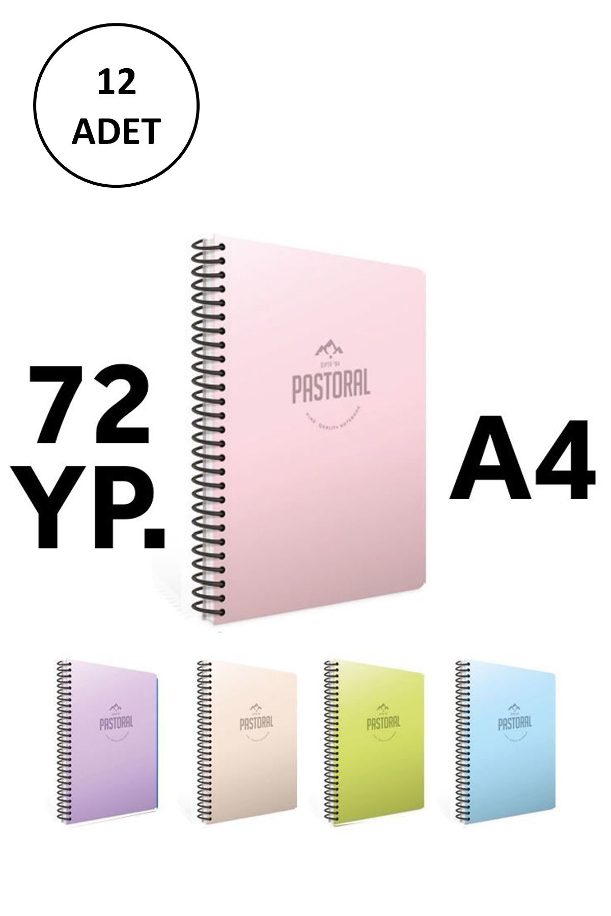 Gıpta Pastoral 17x24 72 yp Çizgili Spiralli Pp Kapak Defter 12 Adet resmi